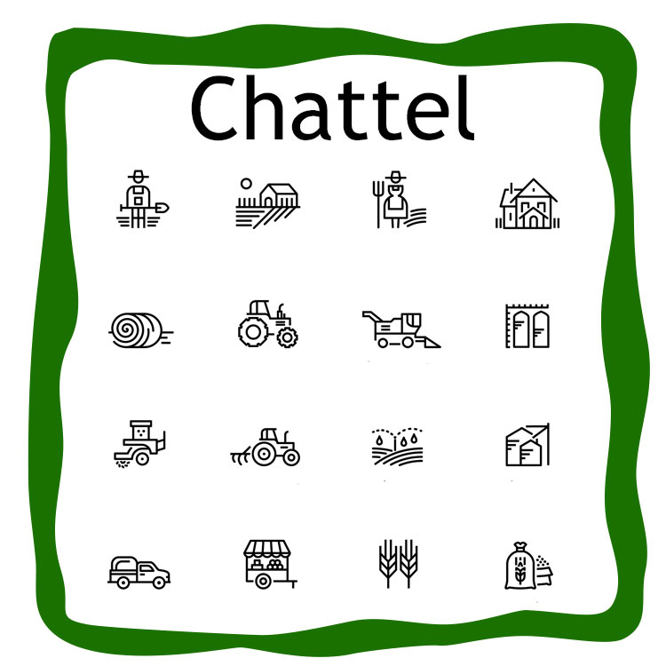 Chattel Appraisals - Bloom Appraisals LLC – Farm, Ranch, Chattel and Rural Appraisals